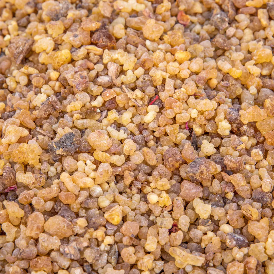 Indischer Weihrauch Boswellia Serrata