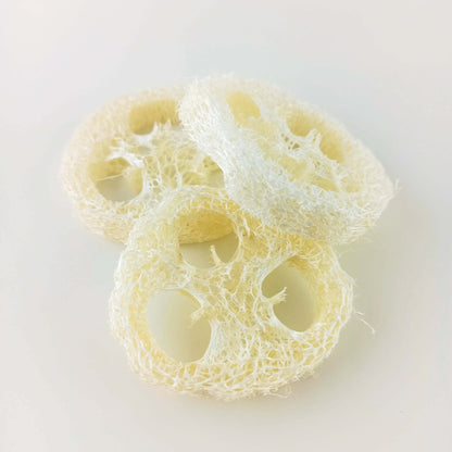 Luffa Schwamm Scheibe Ablage für Seife und festes Shampoo - PURE SOUL Naturkosmetik